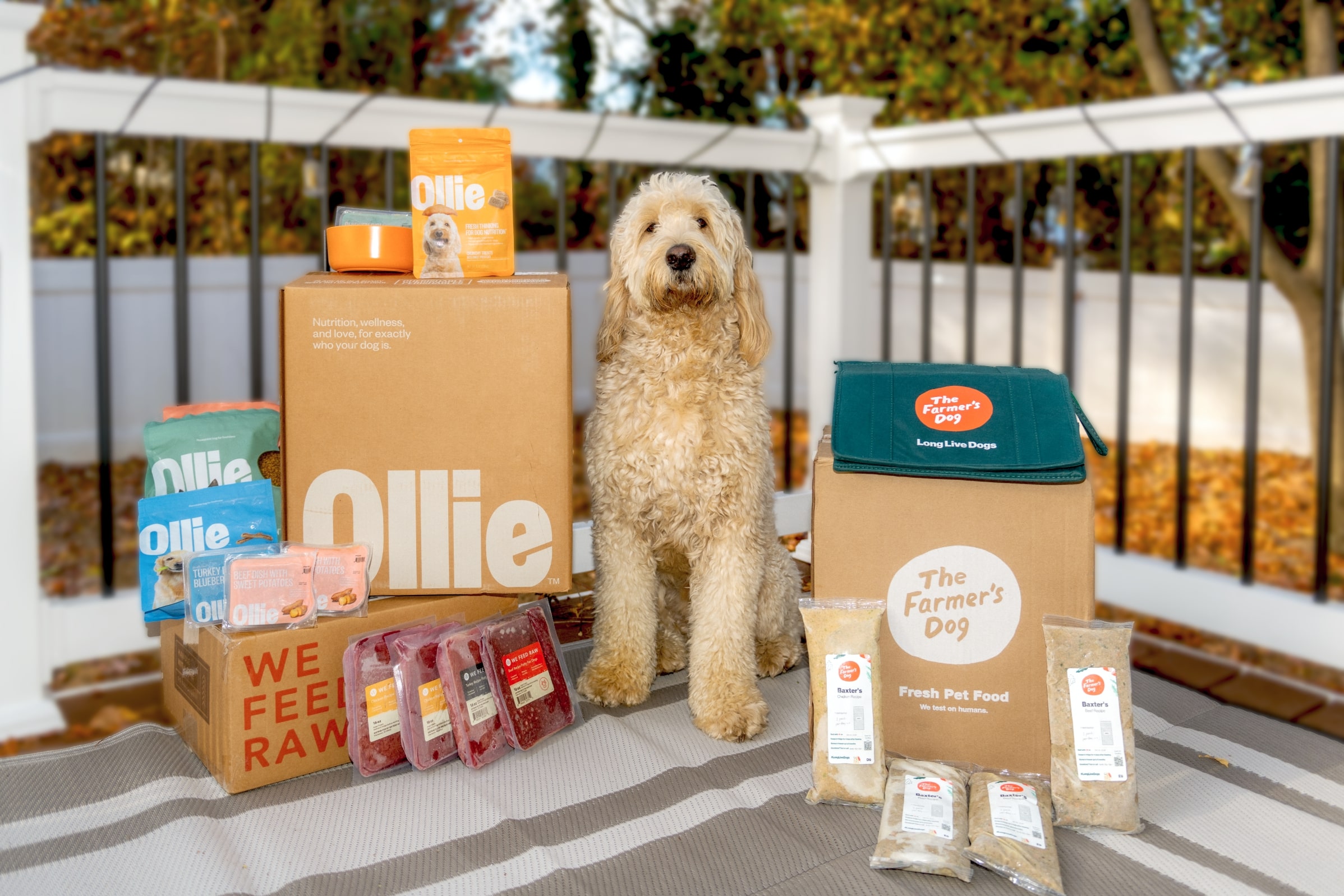 Pet Food Delivery Image